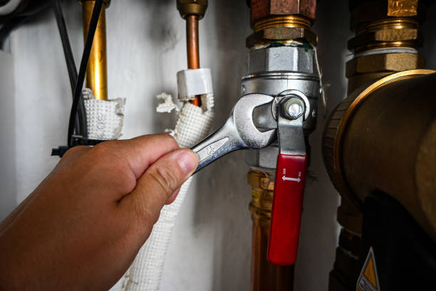 Best Plumbing Inspection Services  in Sharon, WI
